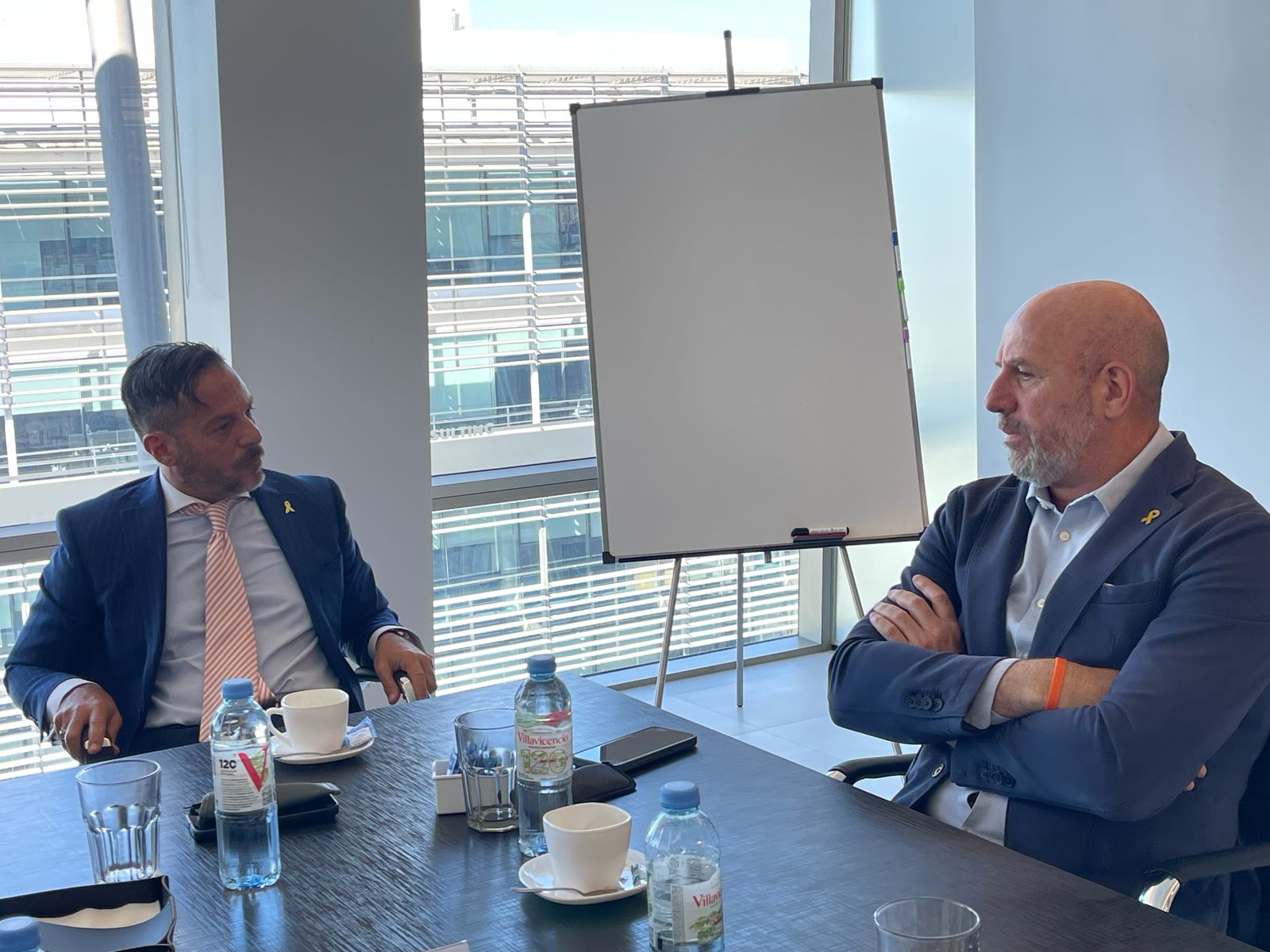 Wolff: "Está en juego es un proyecto de país versus un escenario de poder” 