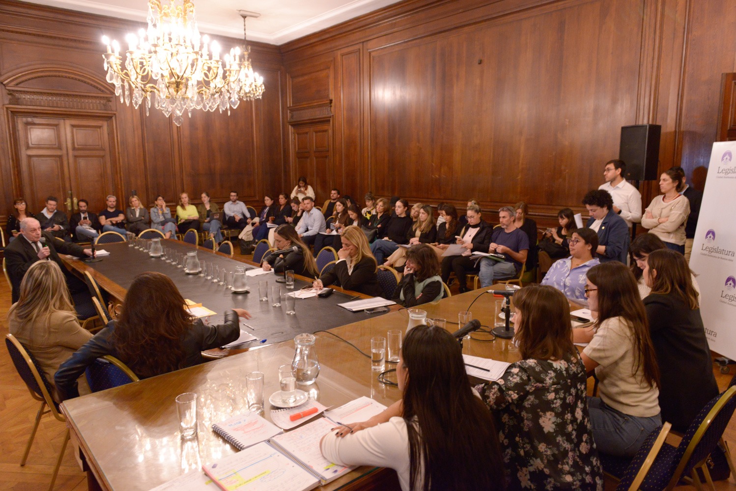 Derechos de la infancia en debate: la Legislatura analizó expedientes