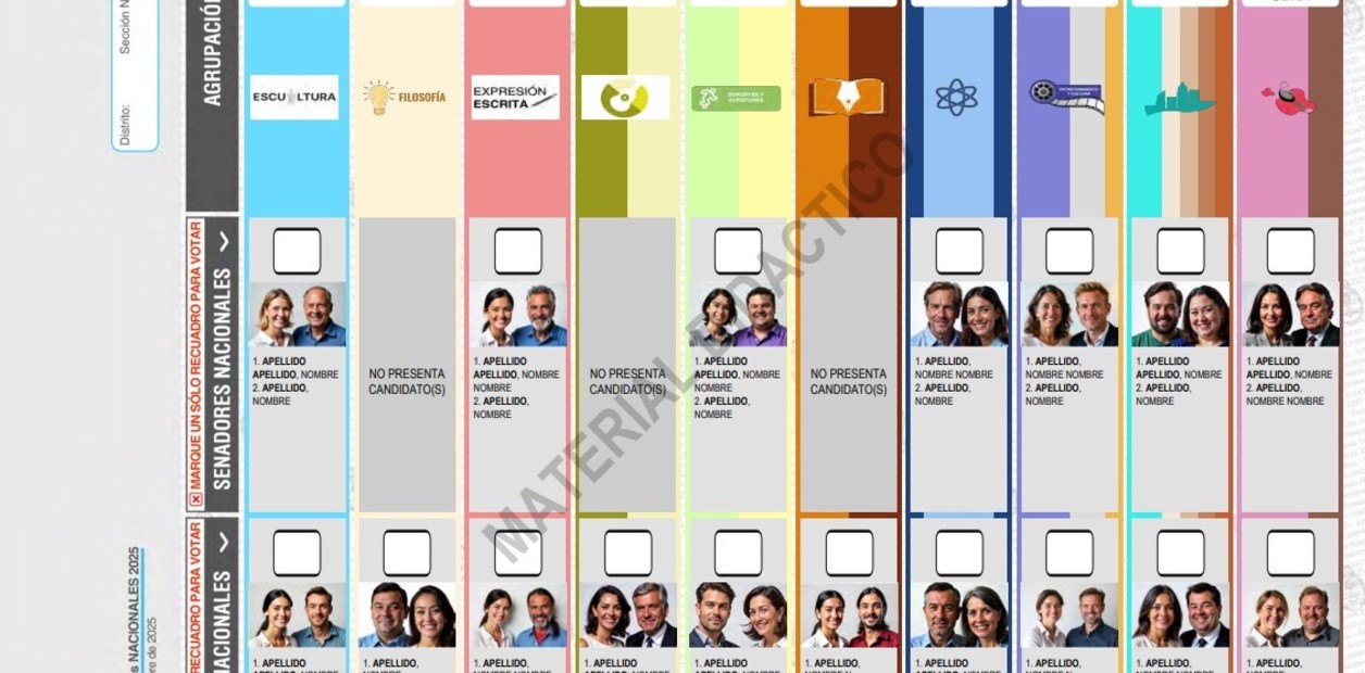 La Justicia Electoral reveló cómo será la Boleta Única para las próximas elecciones