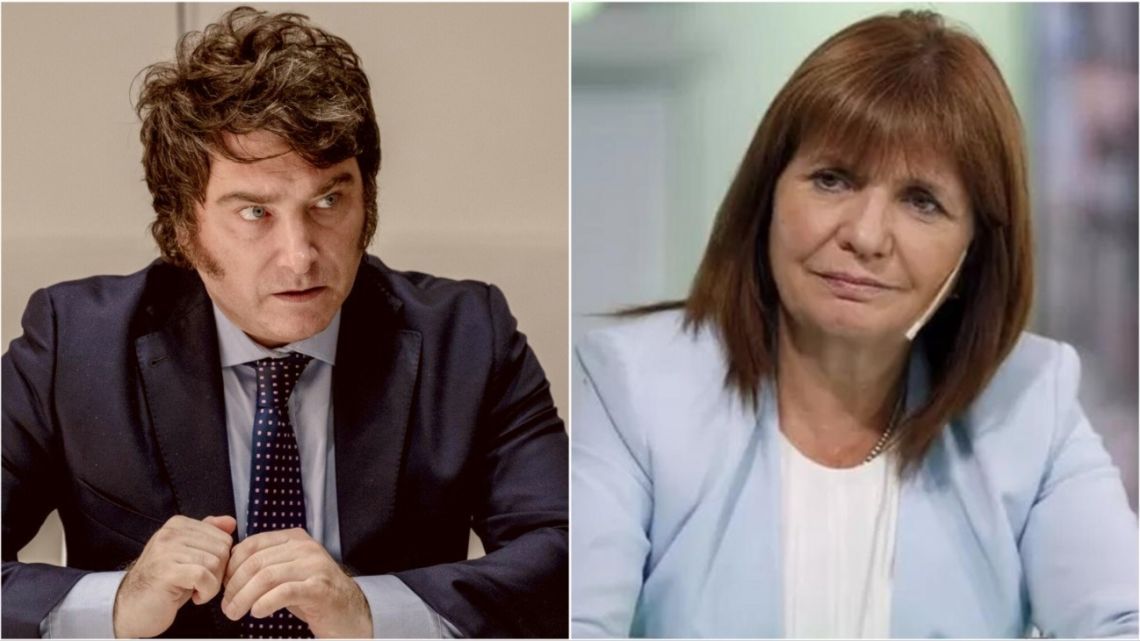 Foto sugestiva y con varias lecturas: Milei se mostró con Bullrich