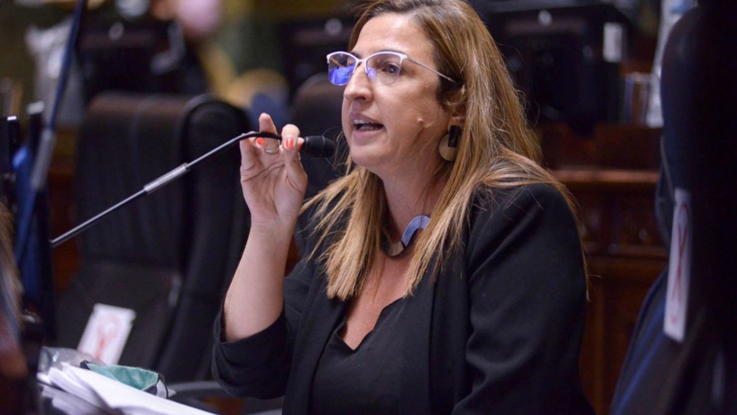 Legislatura: el bloque de UP pidió la citación de Sánchez Zinny