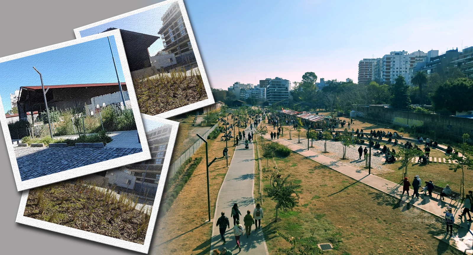 Un parque muy concurrido, sin baños: una deuda con los vecinos de Colegiales