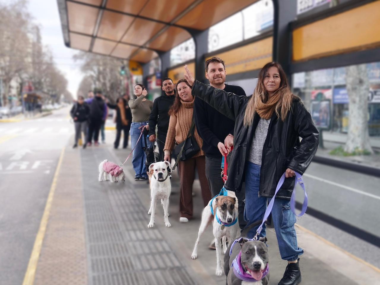 Ferrario exigió junto a vecinos una ley para perros y gatos