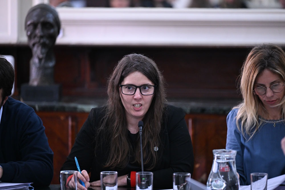 Debate por la creación de la Agencia de Reintegración Social