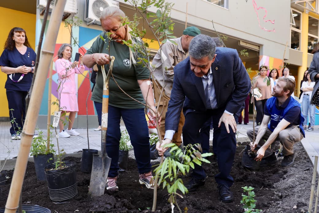La Ciudad tiene el primer microbosque del país en el Hospital Elizalde
