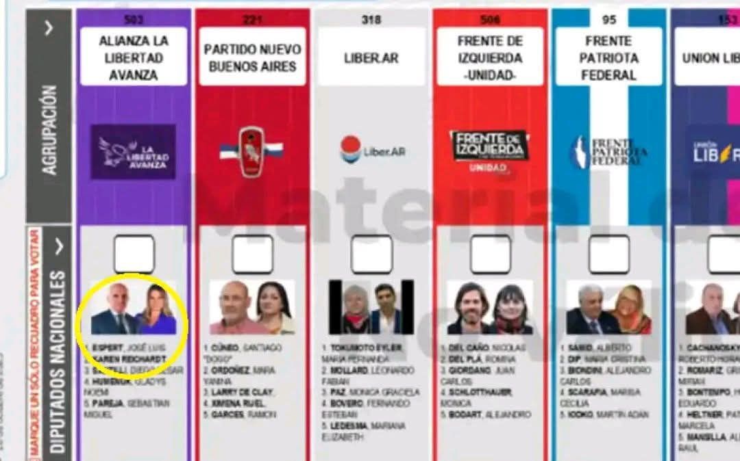 La Justicia rechazó el pedido para reimprimir boletas y borrar la cara de Espert