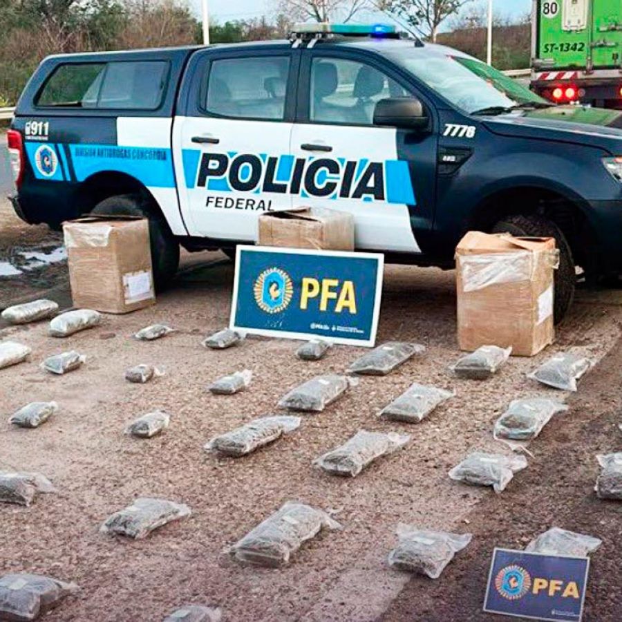 El Gobierno redujo el presupuesto destinado a la lucha contra el narcotráfico