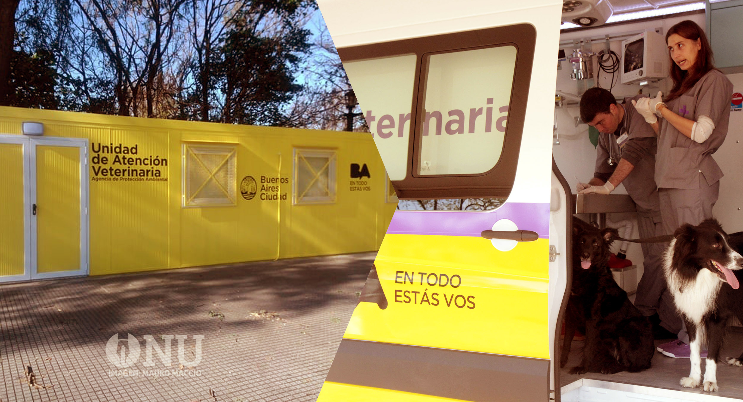 Exigen al GCBA que cumpla con la ley que ordena abrir un centro veterinario por Comuna