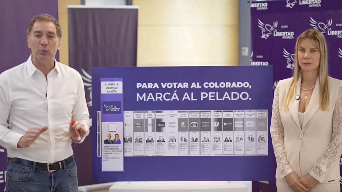 LLA cambia su imagen en PBA: aval judicial para imprimir afiches con Santilli