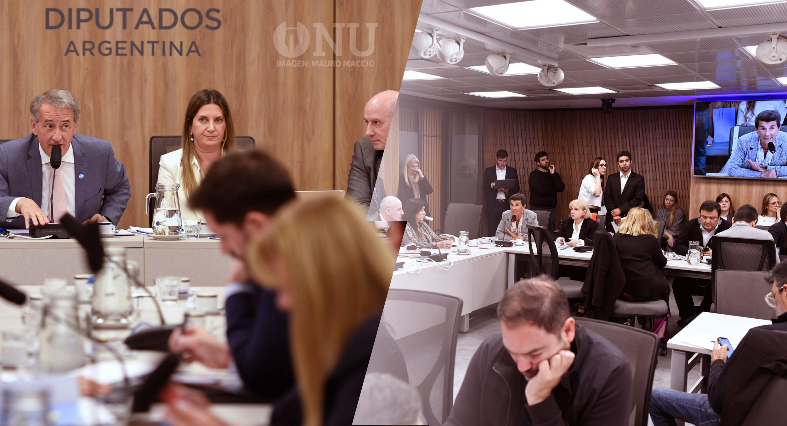 La designación de la defensora de Niñas, Niños y Adolescentes genera otra conflagración