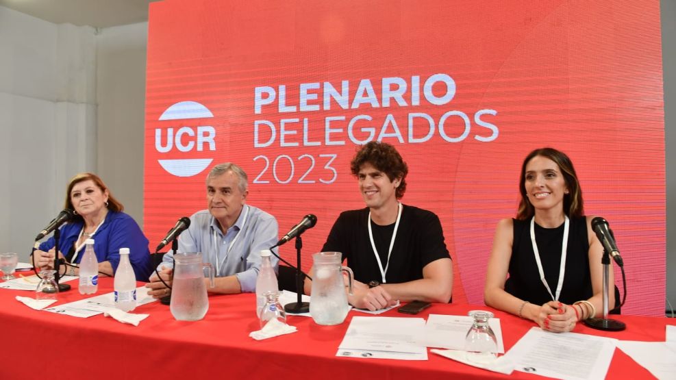 La UCR fijó fecha para elegir al sucesor de Martín Lousteau