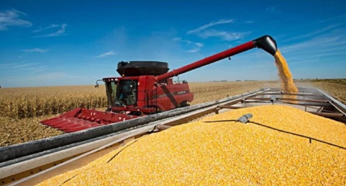 Nueva baja de retenciones: alivio para el campo y la exportación