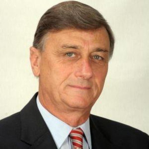 Hermes Binner
